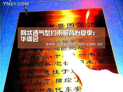 网状透气型约束服背心夏季：华体会(图2)